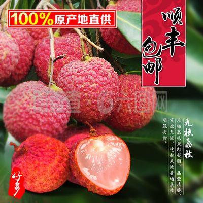 灵山荔枝直通车图