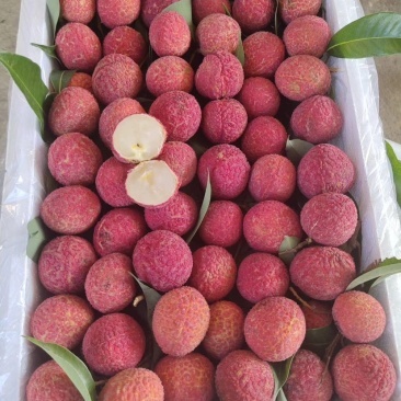 无核荔枝,支持3斤,5斤,10斤一件代发