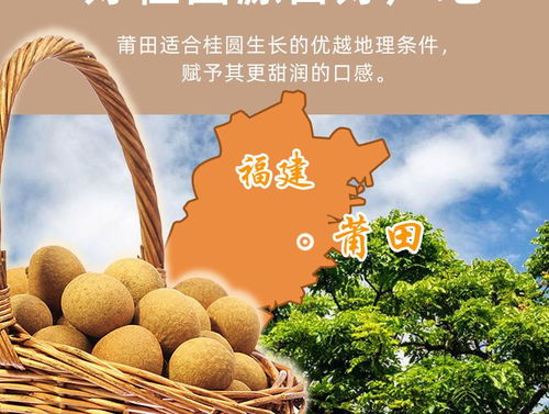 莆田桂圆肉龙眼肉干无核特产无加糖龙眼肉干半斤 一斤