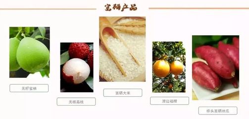 海南再传佳音！无核荔枝之乡荣膺“中国最美休闲度假胜地”