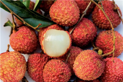 荔枝品种大全与最佳前三种推荐