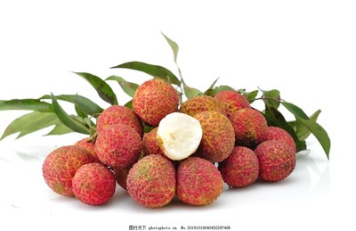 无核荔枝 水果界的革命性品种