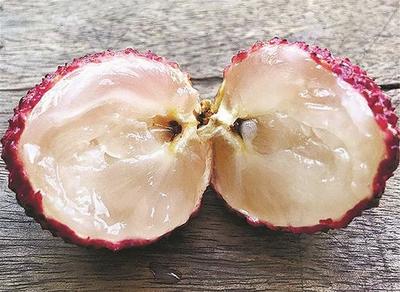 荔枝无核市民尝鲜存疑惑 专家:通过嫁接等手段培育