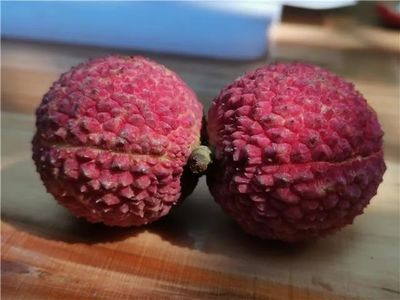 懒人福音!莆田市农业科学研究所种出无核荔枝!