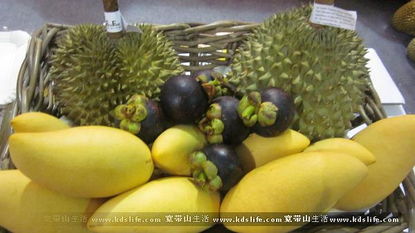 2014上海亚果会春季展 无核荔枝惊艳亮相，引领水果消费新潮流