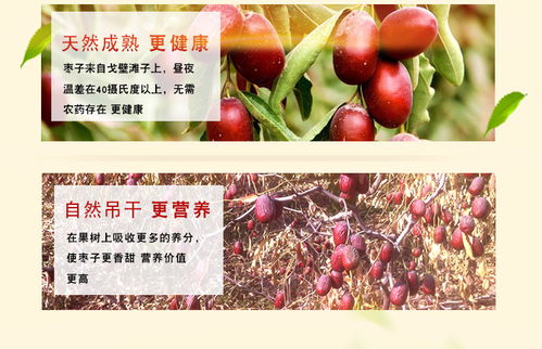 无核若羌灰枣 新疆特产的健康美味，孕妇免洗灰枣新选择