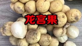 探索夏季奇葩水果 拇指西瓜、释迦果与无核荔枝，哪一个让你惊艳？