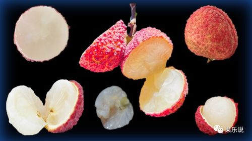 无核荔枝 新时代的荔枝珍品