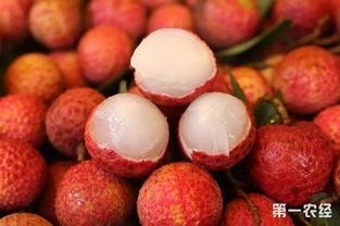 早熟无核荔枝抢占市场先机，海南特色水果再创佳绩